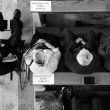 50-lecie-2014_12
