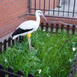 002-wiosna-lato