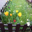 003-wiosna-lato