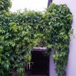 014-wiosna-lato