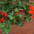 018-wiosna-lato