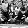 piknik-rodzinny_126