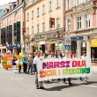 piknik-rodzinny_39