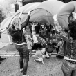 piknik-rodzinny_76