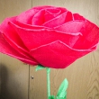 spotkanie_008