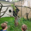 zoo-2015_003