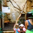 002-zoo