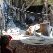 004-zoo20129