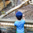 003-zoo20129