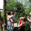 zoo_03